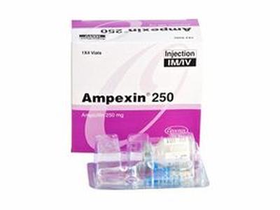 Ampexin IV/IM 250mg/vial Injection