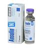 Ansulin N 100 IU/ml Vial