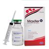 Maxifer 100 mg/5 ml IV Injection